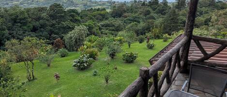 A balcony with a view of a lush garden and distant mountains.