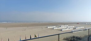 Beach - Zeezicht studio met aparte slaaphoek (Knokke-Heist)