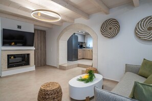 TV, fireplace, offices - Conaleni - Concona houses (Megalo Metochi)
