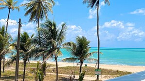 A beach with palm trees and a clear blue sky. - Acqua Tambaú Prime - By Almare (João Pessoa)