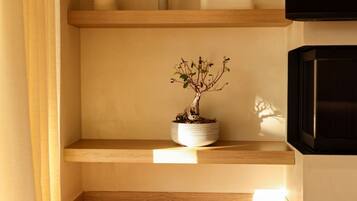 A minimalist room with a wooden shelf, a potted plant, and a television.