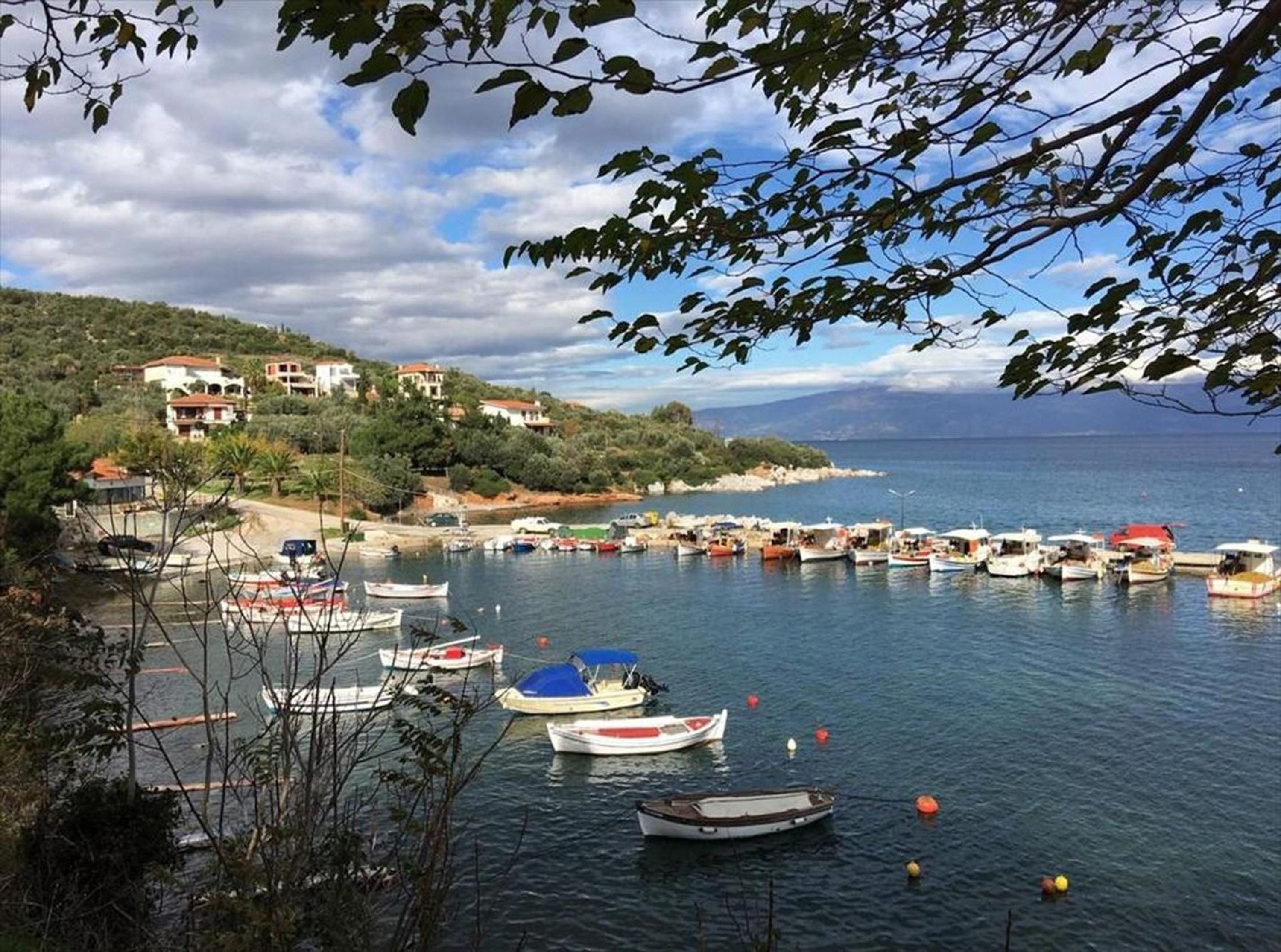 Marina