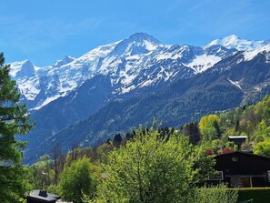 Imagen sin descripción, 3 de 12, botón