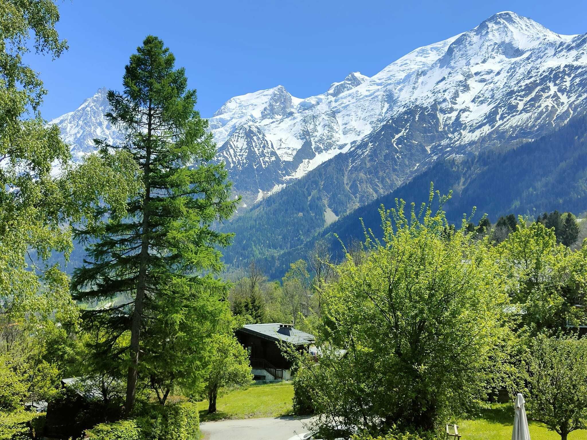 A mountain lodge with a view of snow-capped peaks, surrounded by lush greenery and a clear sky.