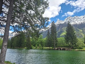 星評価なしの画像、5 / 12、ボタン