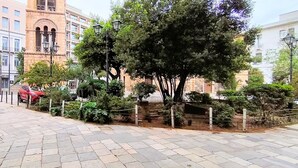 Eine gepflasterte Straße mit einem weißen Auto, das links parkt, einem roten Auto im Hintergrund und einem großen Baum im Vordergrund.