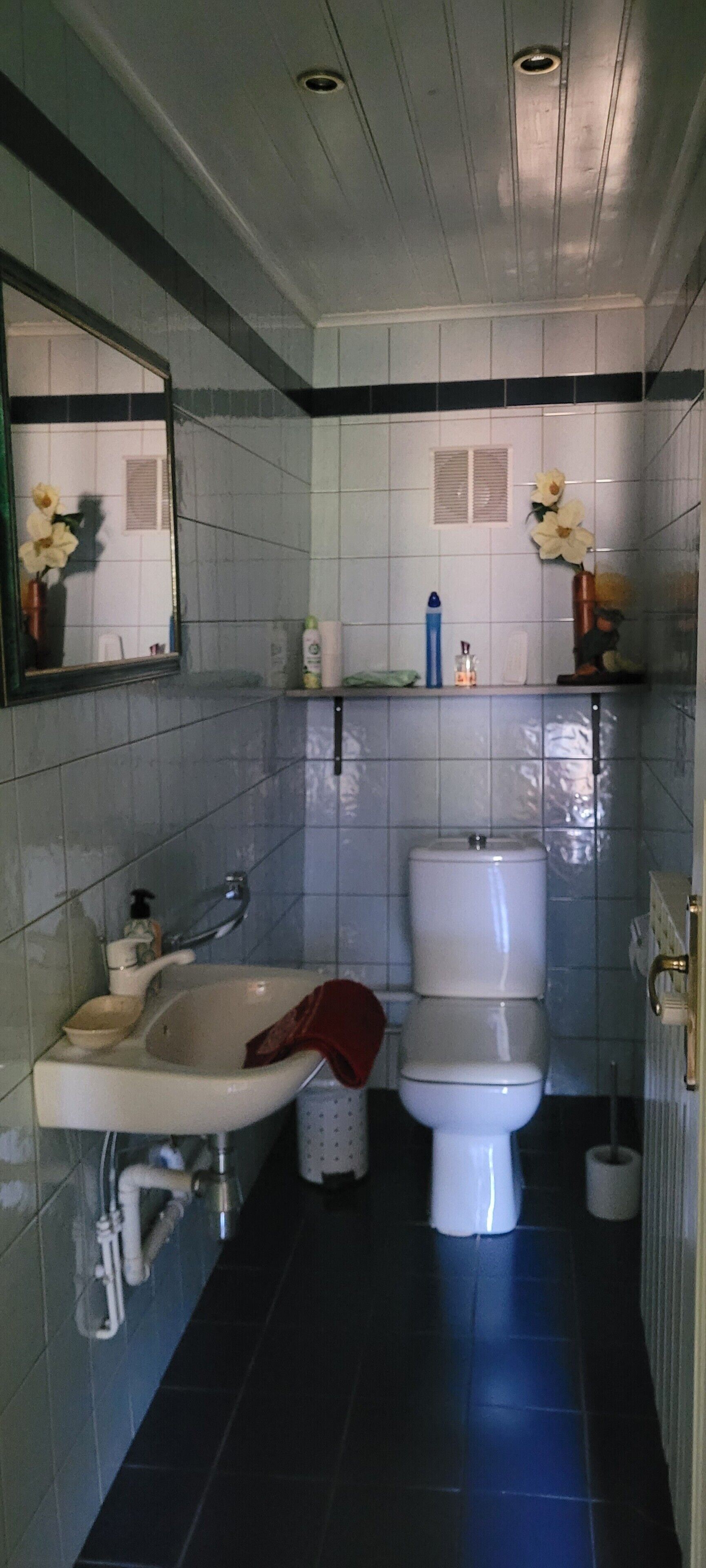 A bathroom with a sink, toilet, and mirror.