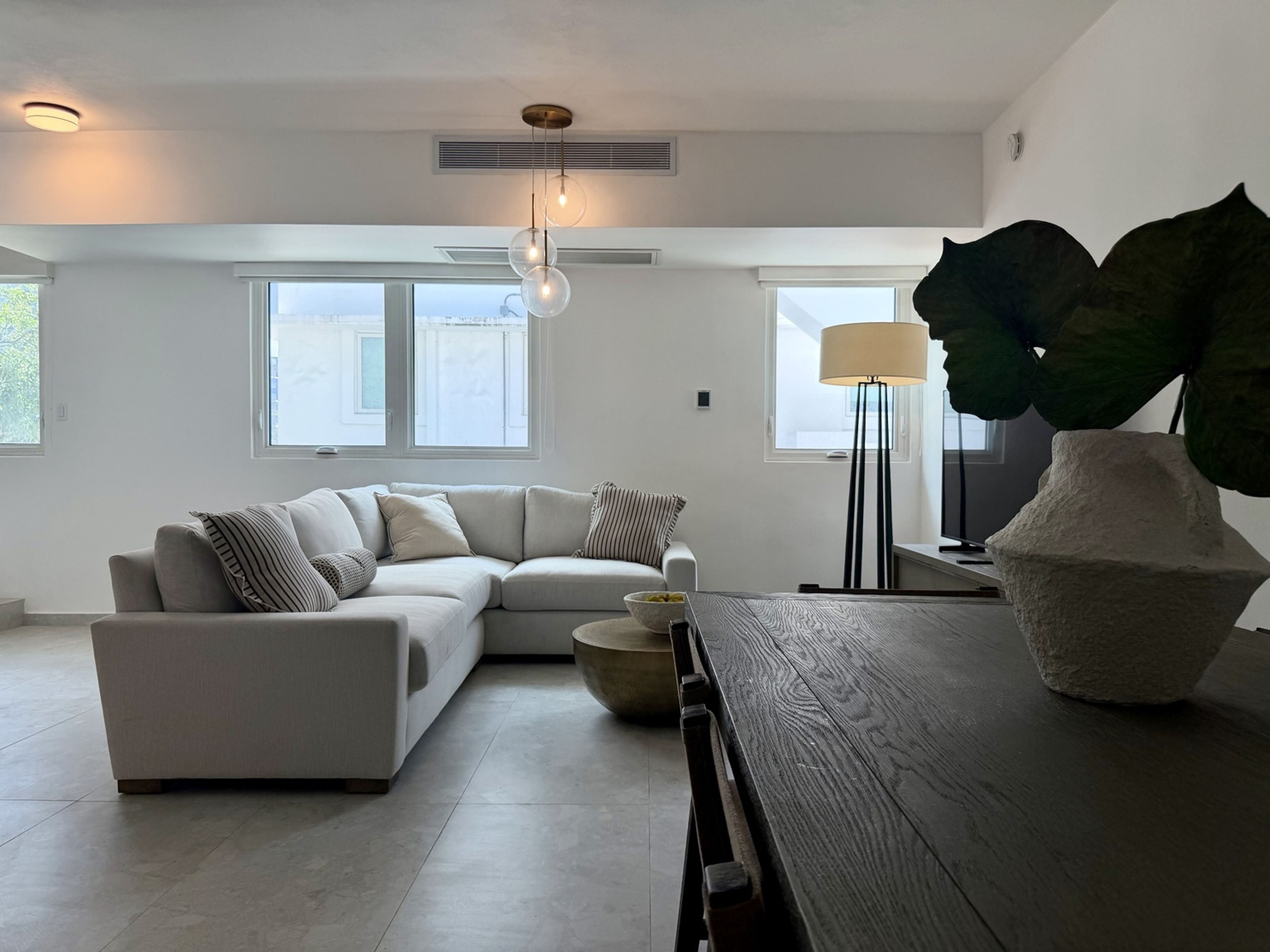 Una sala moderna con un sofá modular, una mesa de comedor de madera y una planta grande en maceta.