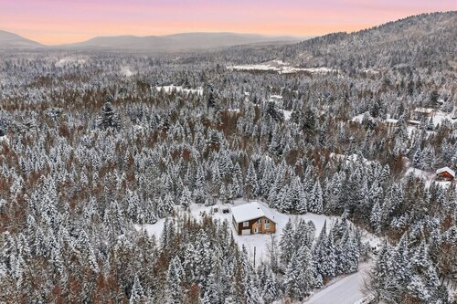 Private Forest Spa Retreat • Modern Chalet