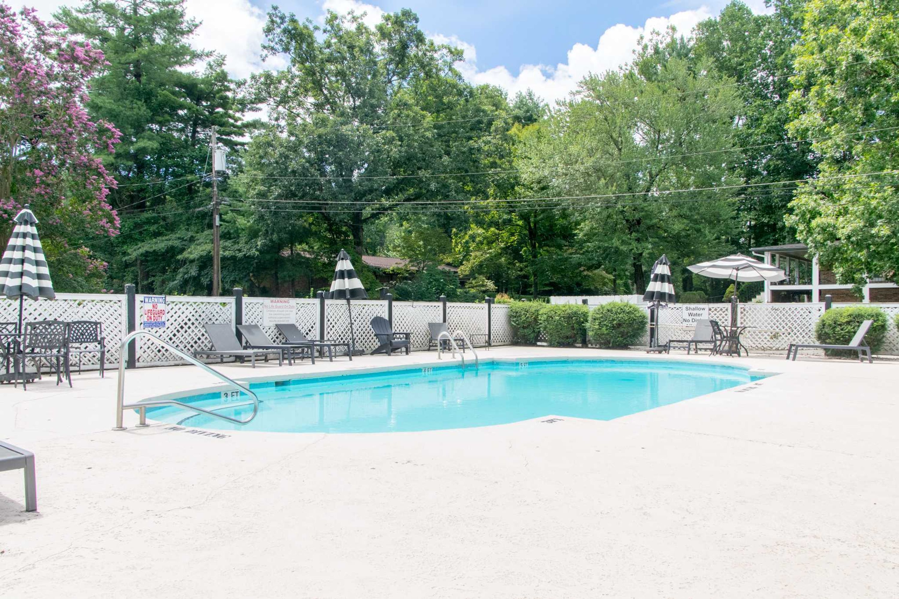 A swimming pool with lounge chairs and umbrellas, surrounded by a fence and trees.