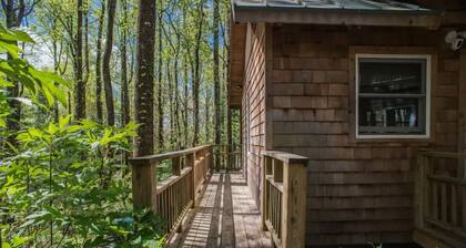 Cozy Guest Cabin Pet Friendly Secluded Peaceful
