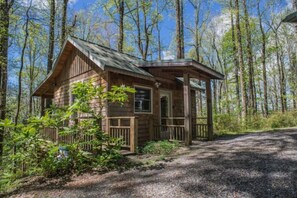 Suite - Cozy Guest Cabin Pet Friendly Secluded Peaceful (Chimney Rock)