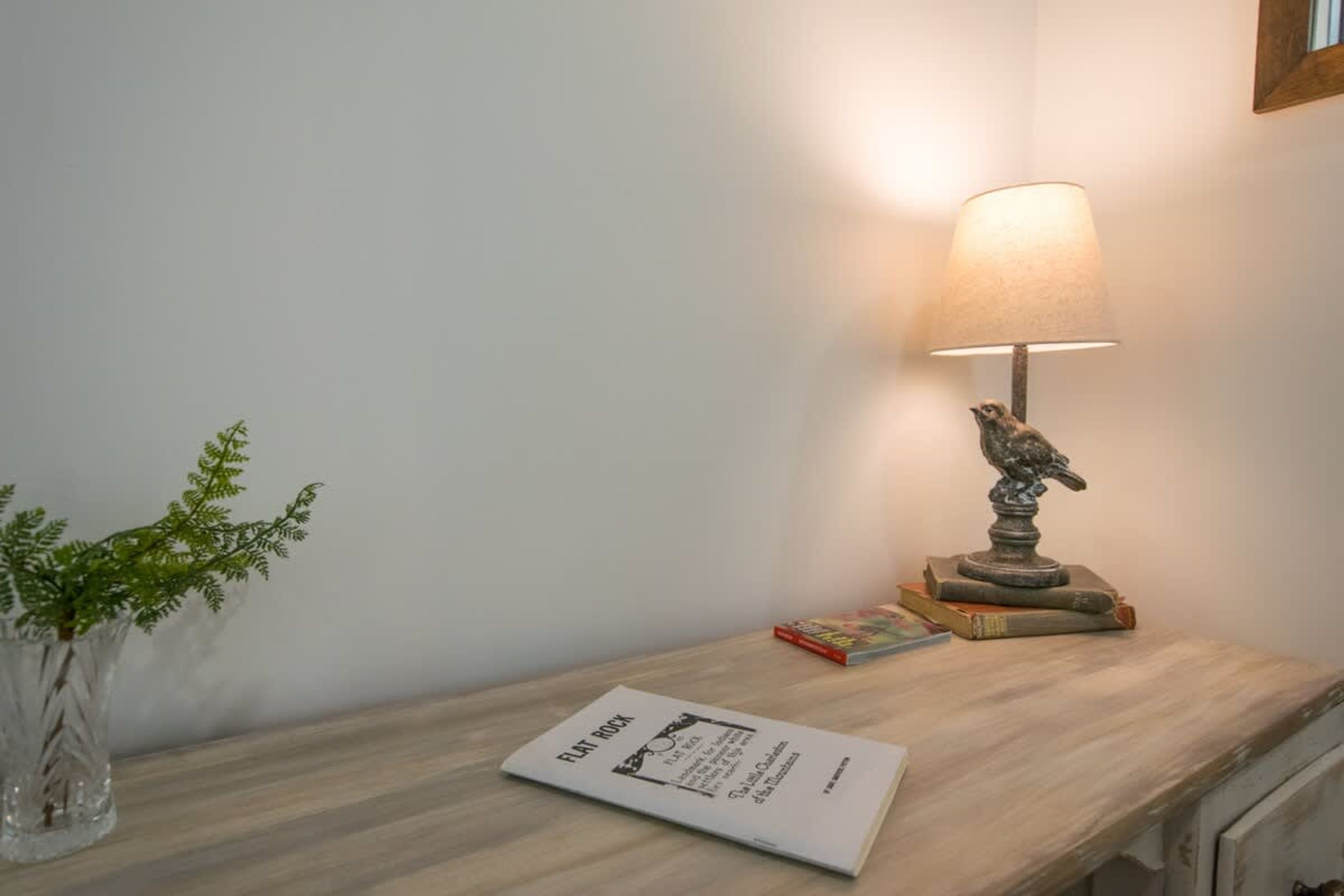 A wooden table with a lamp, a small plant, and a book titled "FLAT ROCK".