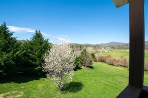 Une vue depuis un balcon donnant sur un paysage verdoyant, avec des arbres, et une vue lointaine sur un lac et des montagnes.