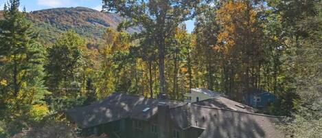 A house surrounded by trees with a mountain in the background.