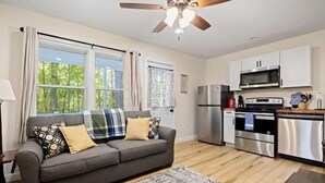 A modern kitchen with stainless steel appliances, a grey sofa with patterned cushions, and large windows with curtains. - Cozy 1BR Cottage w Firepit Close to Downtown (Hendersonville)