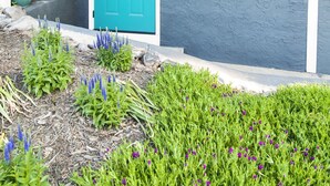 A house with a turquoise door, a small porch, and a garden with various plants and flowers. - Modern 1BR w Workspace Walk to Shops Parks (Asheville)