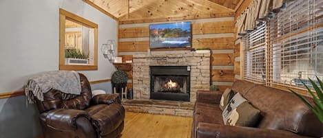 电视、壁炉、办公室