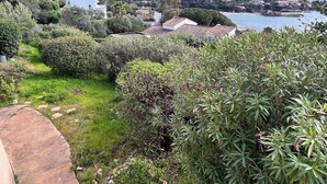 En frodig trädgård med en stenlagd gång, tät vegetation och utsikt över en kuststad i fjärran.