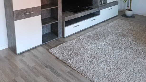 A modern living room with a flat-screen TV on a built-in entertainment unit, a potted plant, and a textured rug. - Cozy vacation apartment in the countryside (Wertheim)