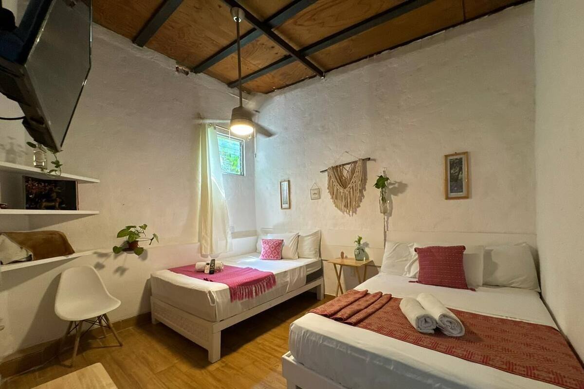 Une pièce confortable avec deux lits, une chaise, une petite table et une plante suspendue.