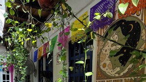 A building with a blue door, potted plants, and a mural with a cat and the text "Love by the Moon". - Hostal Casa de Zeferina (Tuxtla Gutiérrez)