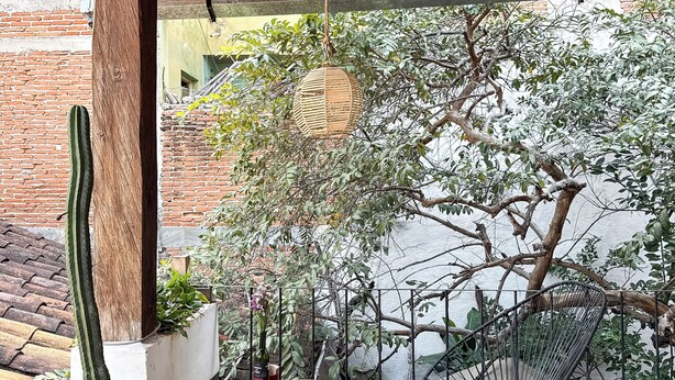 A wooden ceiling with hanging wicker lamps, a cactus, a round table with a plate and bottle, and a metal chair. - Hostal Casa de Zeferina (Tuxtla Gutiérrez)