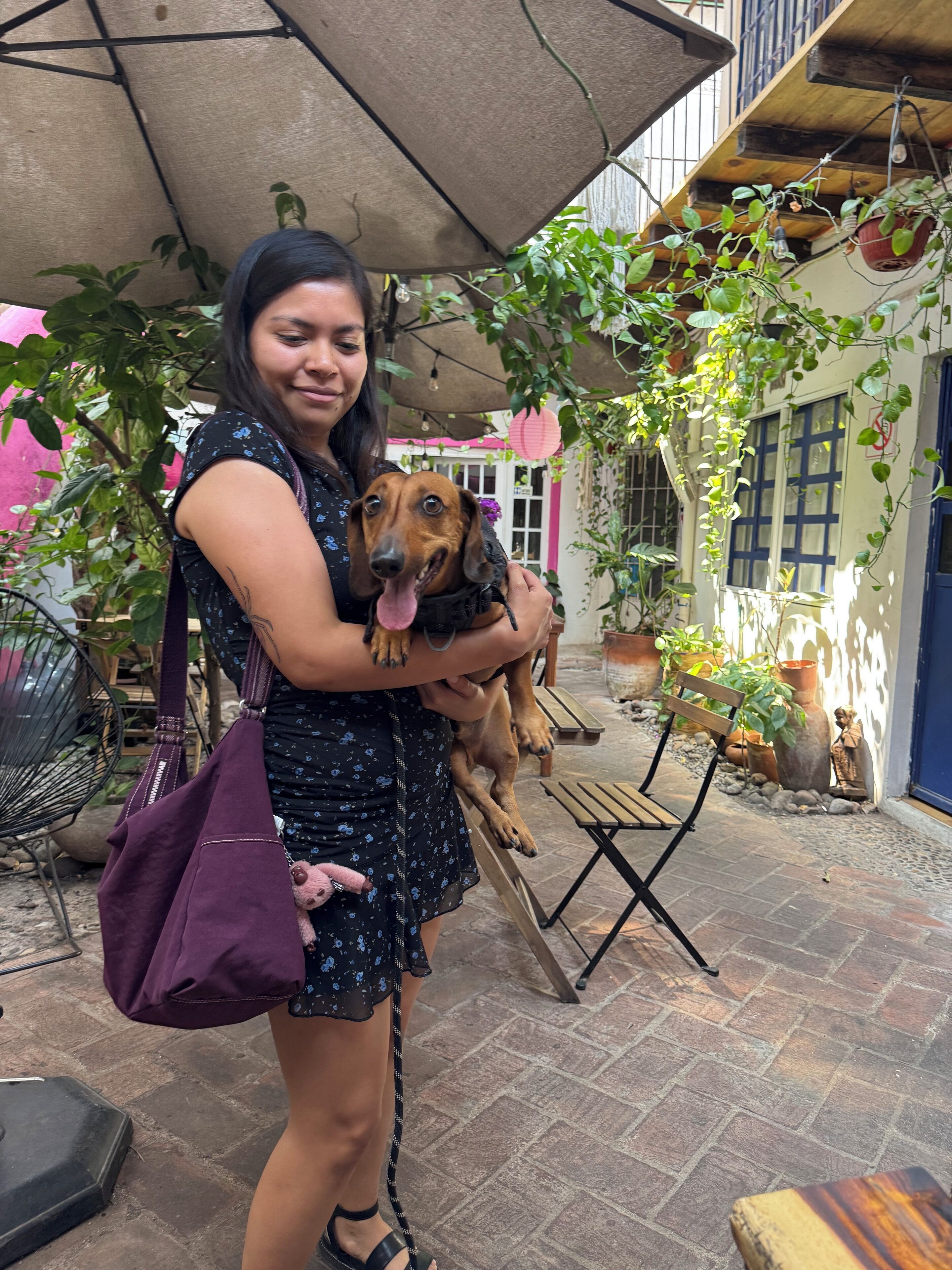 Una persona sosteniendo un perro en un patio al aire libre con suelo de ladrillo, muebles de madera y plantas en macetas.