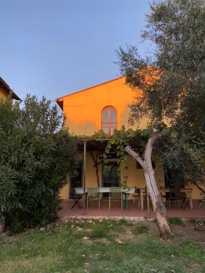 Restauration en plein air