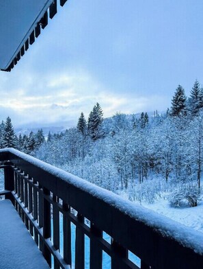 Property grounds - Apartment near the slopes in Combloux (Combloux)