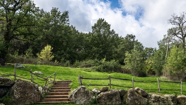 A wooden staircase leading up a grassy hill, surrounded by a stone wall and a wooden fence. - Holiday Home 'Colline' with Balcony and Wi-Fi (Radicofani)
