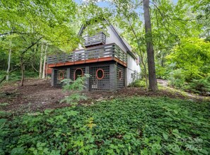 Unclassified image, 5 of 25, button - Open for Spring Break/5 min drive to downtown Black Mountain (Black Mountain)