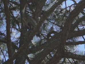 Luokittelematon kuva, 4 kautta 6, painike