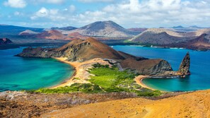 Imagen sin descripción, 2 de 6, botón