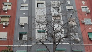 A multi-story residential building with balconies, air conditioning units, and a tree in front. - Nice apartment in quiet neighborhood near downtown (València)