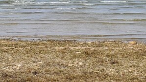 A coastal landscape with a view of the sea and a distant shoreline.