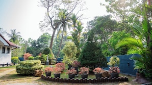 A garden with various potted plants, a white building, and a blue wall. - Zeylon Villa Talalla (Talalla)