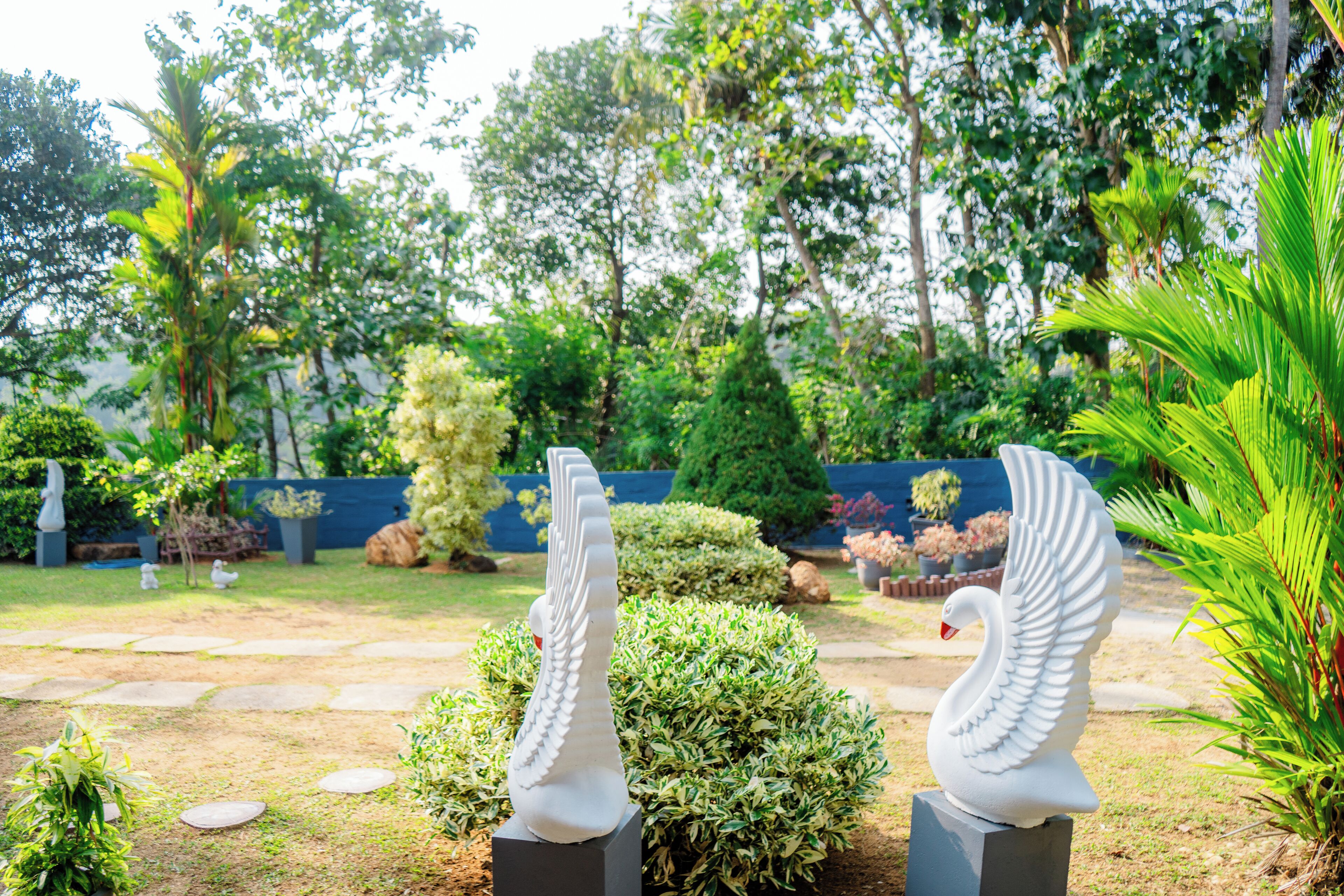 Un jardín con dos estatuas de cisnes blancos sobre pedestales, rodeado de abundante vegetación y un camino de piedra.