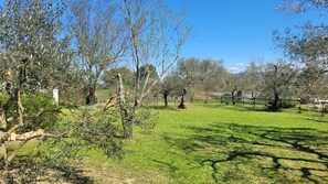 Overnatningsstedets område