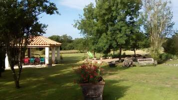 Área da propriedade