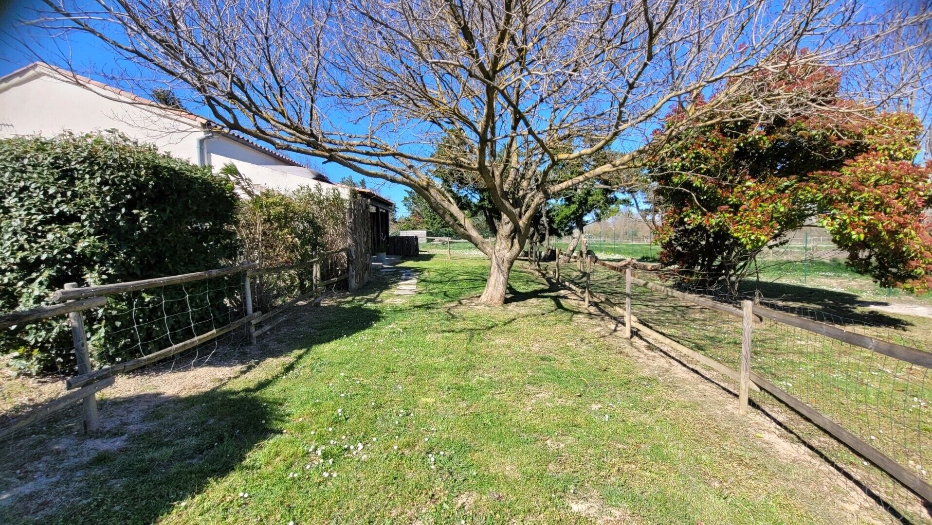 Parco della struttura