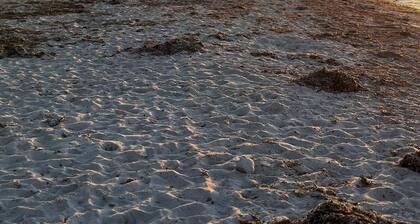 Gemütliches Ferienhaus in Natur-Strandnähe