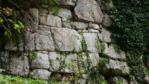 Eine steinerne Mauer, bewachsen mit Vegetation.