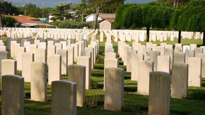 Ein Friedhof mit zahlreichen Grabsteinen, die in Reihen angeordnet sind.