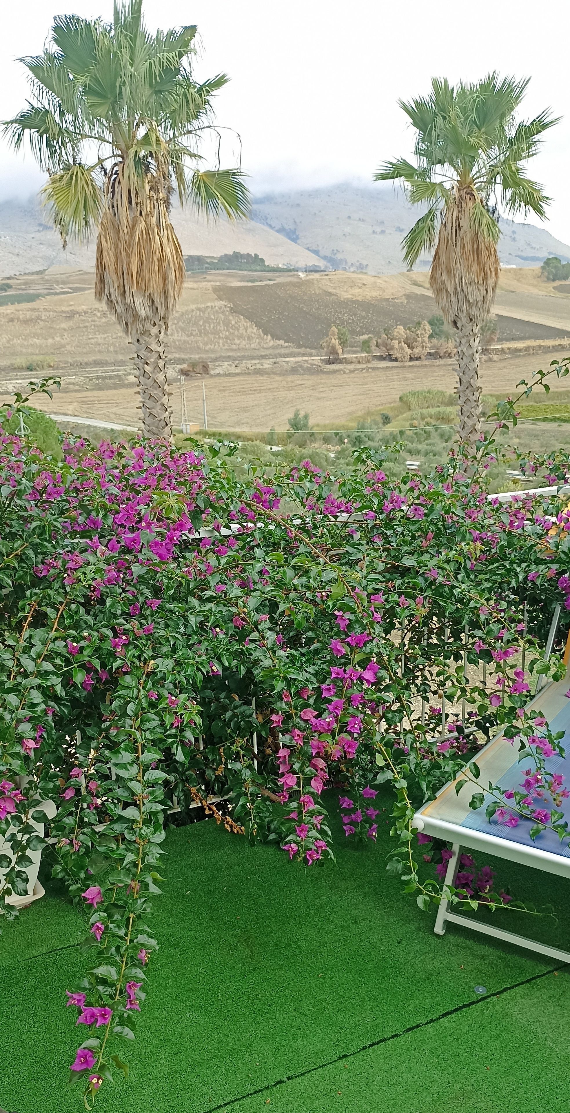 A garden with palm trees and purple flowers, a table, and a view of a hilly landscape.