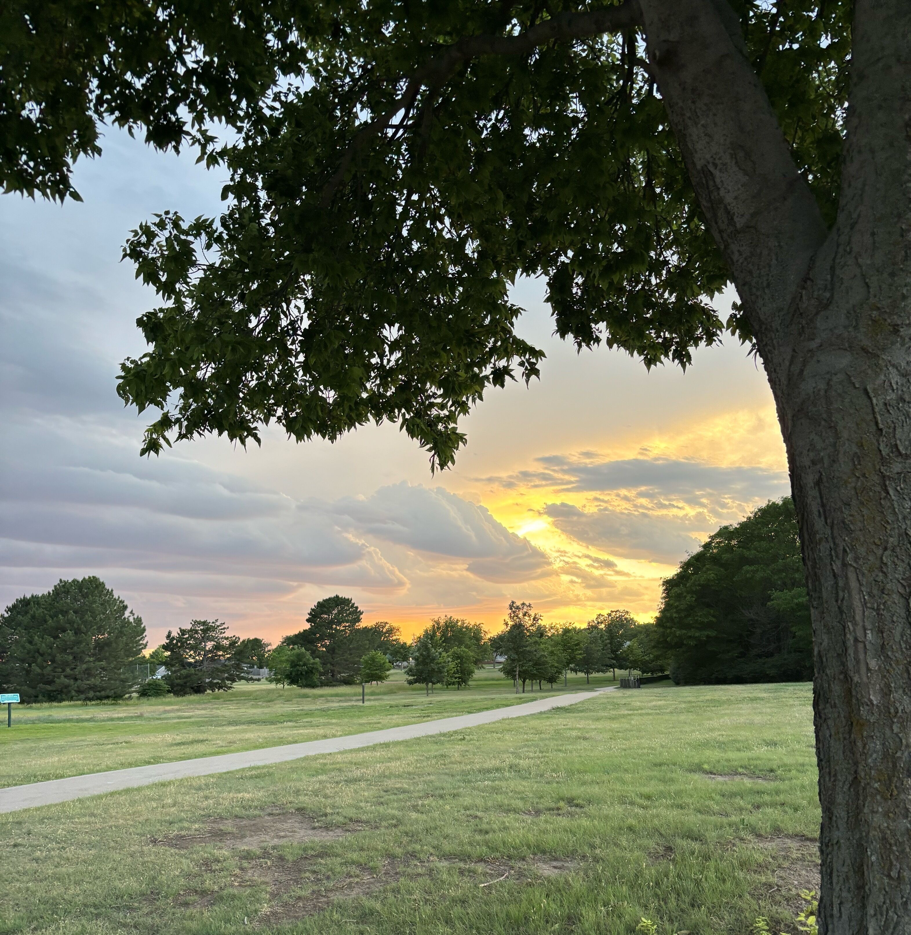 Un parco con un sentiero, alberi e un tramonto sullo sfondo.