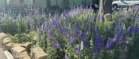 Enceinte de lâhĂ©bergement
