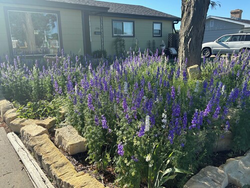 Spacious 4-bedroom house in Hays near Sunrise Park