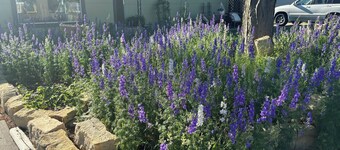 Spacious 4-bedroom house in Hays near Sunrise Park