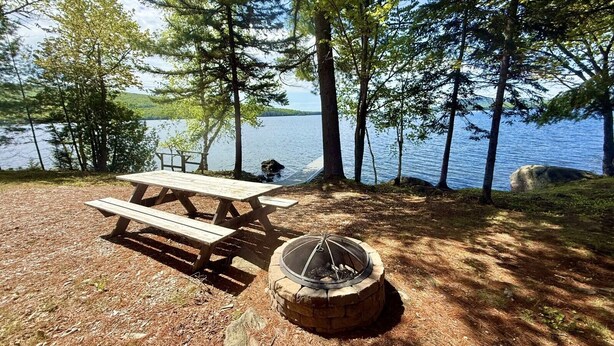 Une table de pique-nique et un foyer au milieu d’une zone boisée, près d’un lac.